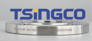 DIN Standard Pn 40 Flange OEM Precision-Engineered 317L DN32 Pressure RF Flange